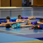 Zaplněná sportovní hala v Milevsku sledovala ukázky sletových skladeb. Sokolská akademie i letos nadchla publikum