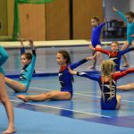 Zaplněná sportovní hala v Milevsku sledovala ukázky sletových skladeb. Sokolská akademie i letos nadchla publikum