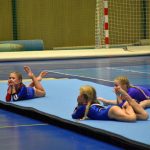 Zaplněná sportovní hala v Milevsku sledovala ukázky sletových skladeb. Sokolská akademie i letos nadchla publikum