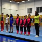 Zaplněná sportovní hala v Milevsku sledovala ukázky sletových skladeb. Sokolská akademie i letos nadchla publikum
