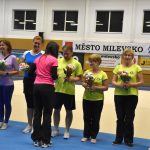 Zaplněná sportovní hala v Milevsku sledovala ukázky sletových skladeb. Sokolská akademie i letos nadchla publikum