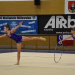 Zaplněná sportovní hala v Milevsku sledovala ukázky sletových skladeb. Sokolská akademie i letos nadchla publikum