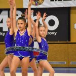 Zaplněná sportovní hala v Milevsku sledovala ukázky sletových skladeb. Sokolská akademie i letos nadchla publikum
