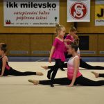 Zaplněná sportovní hala v Milevsku sledovala ukázky sletových skladeb. Sokolská akademie i letos nadchla publikum