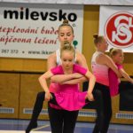 Zaplněná sportovní hala v Milevsku sledovala ukázky sletových skladeb. Sokolská akademie i letos nadchla publikum