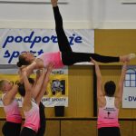 Zaplněná sportovní hala v Milevsku sledovala ukázky sletových skladeb. Sokolská akademie i letos nadchla publikum
