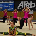 Zaplněná sportovní hala v Milevsku sledovala ukázky sletových skladeb. Sokolská akademie i letos nadchla publikum