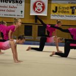 Zaplněná sportovní hala v Milevsku sledovala ukázky sletových skladeb. Sokolská akademie i letos nadchla publikum