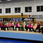 Zaplněná sportovní hala v Milevsku sledovala ukázky sletových skladeb. Sokolská akademie i letos nadchla publikum