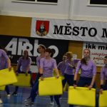 Zaplněná sportovní hala v Milevsku sledovala ukázky sletových skladeb. Sokolská akademie i letos nadchla publikum