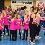 Zaplněná sportovní hala v Milevsku sledovala ukázky sletových skladeb. Sokolská akademie i letos nadchla publikum
