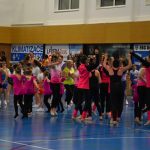 Zaplněná sportovní hala v Milevsku sledovala ukázky sletových skladeb. Sokolská akademie i letos nadchla publikum