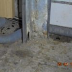 Mrtvá myš a trus. Inspekce uzavřela kuchyni strakonické restaurace V Ráji