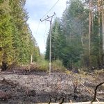 Jihočeský kraj zasáhl silný vítr. Na Jindřichohradecku spadl strom na dráty, způsobil požár lesa