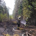 Jihočeský kraj zasáhl silný vítr. Na Jindřichohradecku spadl strom na dráty, způsobil požár lesa