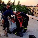 Hasiči v Týně zachraňovali kočku, která spadla ze třetího patra do ventilační šachty