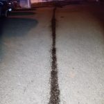 Řidič natankoval plnou nádrž, pak ji prorazil. Stopa vedla přes Tábor