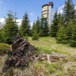I přes sucho a silný vítr někdo rozdělal v úterý na Šumavě oheň. Lidé navíc pálili stoly a lavičky u nouzového nocoviště