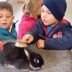 Milevští chovatelé pozvali na dětský den a trh. Najdou se i děti, které vidí slepici poprvé
