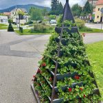 Malé náměstí v Prachaticích zdobí květinové pyramidy, ve Vodňanské ulici rozkvetou záhony
