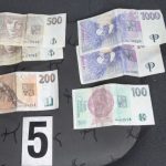 Rána pro táborské drogové podsvětí. Zásahovka si došla pro skupinu dealerů
