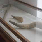 V Podolí I otevřeli obecní muzeum. Nabízí exponáty z někdejší školy i ze stavby Podolského mostu