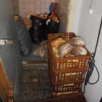 Myší trus, odpadky a zboží, které ochutnali hlodavci dřív než zákazníci. Inspekce uzavřela koloniál v Dobevi