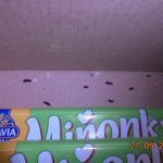 Myší trus, odpadky a zboží, které ochutnali hlodavci dřív než zákazníci. Inspekce uzavřela koloniál v Dobevi