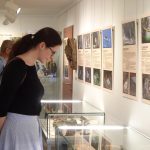 Skutečná hnízda z přírody a fotografie z ptačí říše vystavují ve Smrčkově domě v Soběslavi
