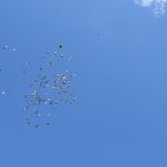 Lázně Bechyně oslavily století rodinného podniku. Pravnuk manželů Krátkých plánuje další rozvoj