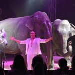 Cirkus Humberto v Táboře DNES NAPOSLED. S ředitelem Hynkem Navrátilem o drezuře zvířat i slovenských medvědech