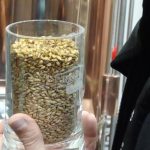 Dny Soběslavského pivovaru pokračují v sobotu v areálu Rašeliny. Čepují Zrzka, ležák, IPA, Garden Ale, Bike Gose