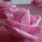 Sběratelka představuje ve veselském kulturním domě rozmanitý svět panenek Barbie
