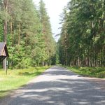 Lesy ČR obnovily na Třeboňsku frekventovanou lesní cestu na hranicích s Rakouskem i Borovanský most