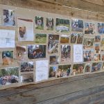 Rodina Peckových vybudovala na krásném místě nedaleko Orlické přehrady kapli svaté Heleny