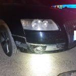 Střet s bobrem u Horní Vltavice