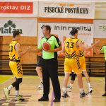 VIDEO: Druhou přípravu Sršni vyhráli i bez opor