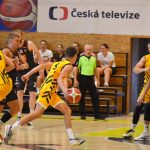 VIDEO: Druhou přípravu Sršni vyhráli i bez opor