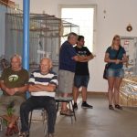 Výstava králíků, holubů a drůbeže přilákala do Milevska i chovatele z dalších krajů