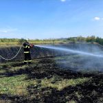 Úterní zásahy hasičů: požáry, vážná nehoda i záchrana kočky