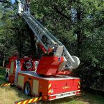 Úterní zásahy hasičů: požáry, vážná nehoda i záchrana kočky