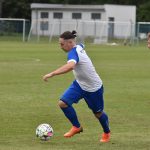 Strakonice porazily Roudné a jsou v čele tabulky