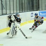 VIDEO: Motor ztratil dvougólový náskok z první třetiny. Plzeň vyhrála v Soběslavi na začátku prodloužení