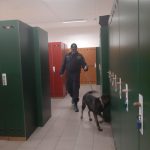 Nezletilý student hrozil strakonické škole bombou. Policie ho rychle vypátrala