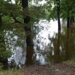 V Soběslavi očekávají další zvýšení hladiny vody v Lužnici ve středu. Protipovodňová opatření město chrání