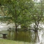 V Soběslavi očekávají další zvýšení hladiny vody v Lužnici ve středu. Protipovodňová opatření město chrání