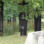 V Soběslavi očekávají další zvýšení hladiny vody v Lužnici ve středu. Protipovodňová opatření město chrání
