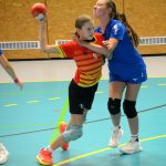 VIDEO: Velká nad Veličkou soupeřům vypálila rybník, medaile i na Slovensko