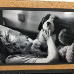 Výstava ve Šmidingerově knihovně ve Strakonicích zachycuje příběhy života