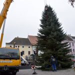 Velké náměstí v Písku už zdobí vánoční strom. Důvodem je instalace ledového kluziště